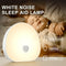 Mini Night Light with White Noise, 10 Soothing Sounds, 15/30min Timer, Colorful Lighting, Rechargeable Portable Night Light
